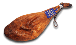 �n�����C�x���R�x�W���[�^�V���R�z�^�X�u�����h
