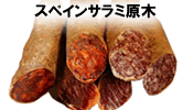�X�y�C���T���~����